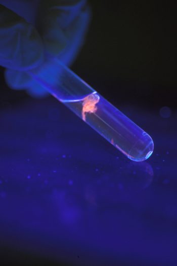 Laboratoire de biologie moléculaire, méduse d'ADN.