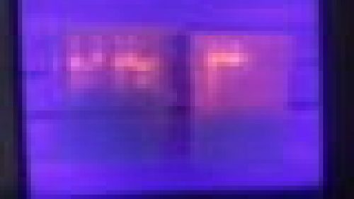 stage_adn_43_.jpg